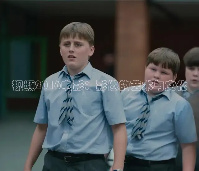 视频2016电影：影像的艺术与文化